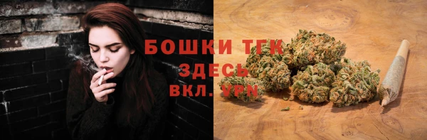 винт Арсеньев