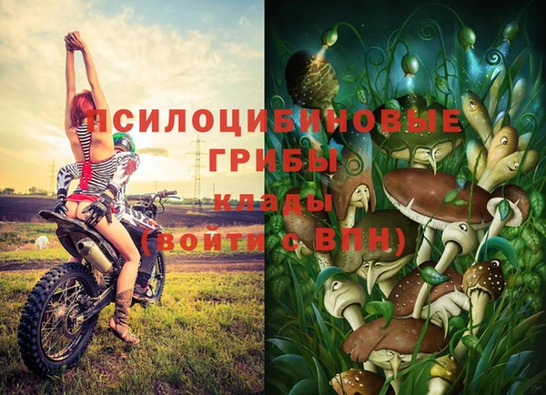 винт Арсеньев