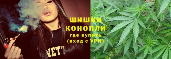 винт Арсеньев