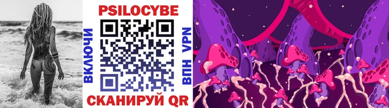 купить  сайты  кракен как зайти  Галлюциногенные грибы Psilocybe  Суджа 